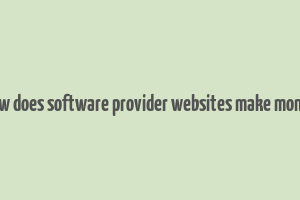 how does software provider websites make money