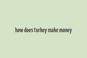 how does turkey make money