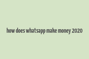 how does whatsapp make money 2020