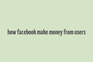 how facebook make money from users