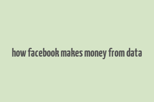 how facebook makes money from data