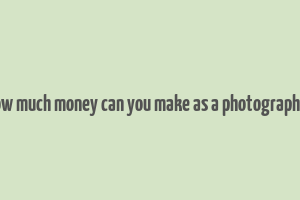 how much money can you make as a photographer