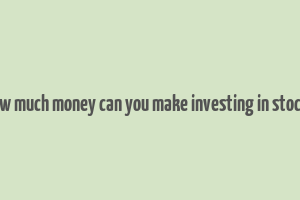 how much money can you make investing in stocks