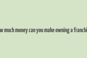 how much money can you make owning a franchise