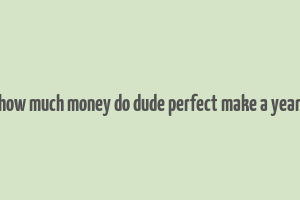 how much money do dude perfect make a year