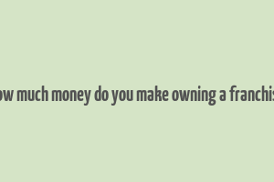 how much money do you make owning a franchise