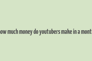 how much money do youtubers make in a month