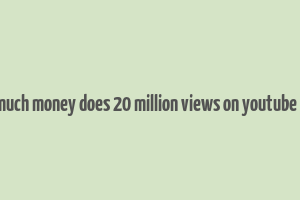 how much money does 20 million views on youtube make