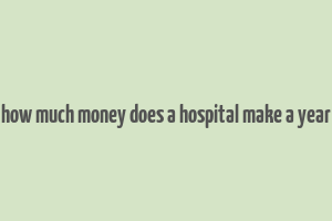 how much money does a hospital make a year