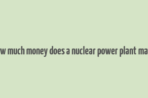 how much money does a nuclear power plant make