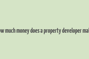 how much money does a property developer make