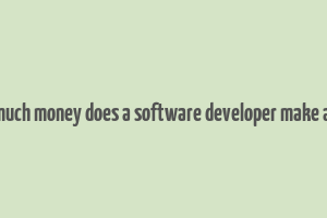 how much money does a software developer make a year