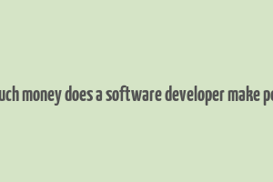 how much money does a software developer make per year