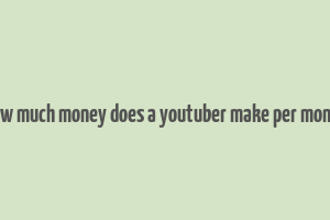 how much money does a youtuber make per month