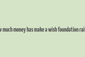 how much money has make a wish foundation raised