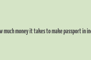 how much money it takes to make passport in india