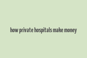 how private hospitals make money