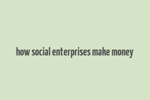 how social enterprises make money