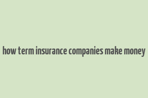 how term insurance companies make money