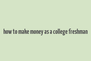 how to make money as a college freshman