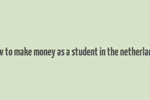 how to make money as a student in the netherlands