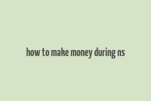 how to make money during ns