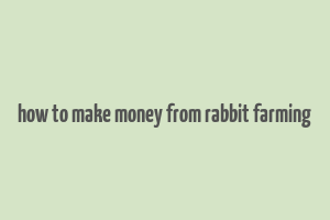 how to make money from rabbit farming