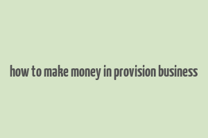 how to make money in provision business