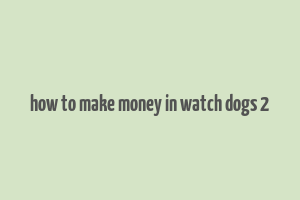 how to make money in watch dogs 2