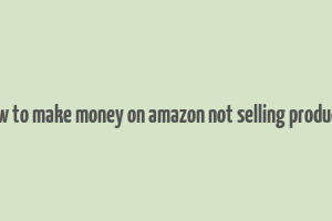 how to make money on amazon not selling products