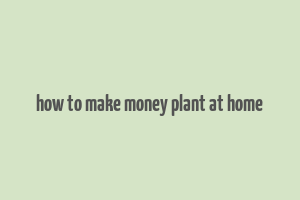 how to make money plant at home