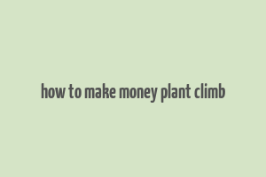 how to make money plant climb