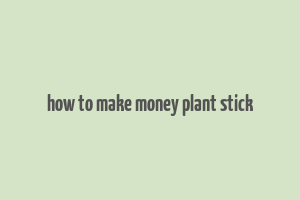 how to make money plant stick