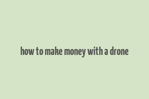 how to make money with a drone