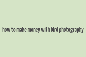 how to make money with bird photography