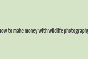 how to make money with wildlife photography