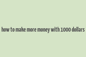 how to make more money with 1000 dollars