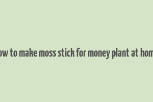 how to make moss stick for money plant at home