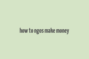 how to ngos make money