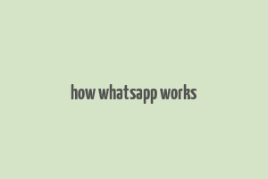 how whatsapp works