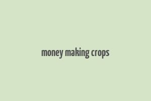 money making crops