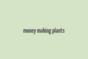 money making plants