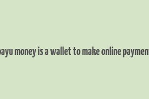 payu money is a wallet to make online payment