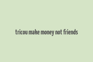 tricou make money not friends