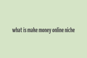 what is make money online niche