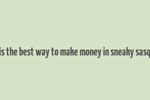 what is the best way to make money in sneaky sasquatch