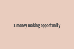 1 money making opportunity