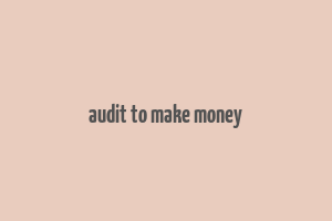 audit to make money