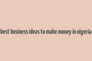 best business ideas to make money in nigeria