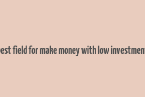 best field for make money with low investment